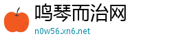 鸣琴而治网